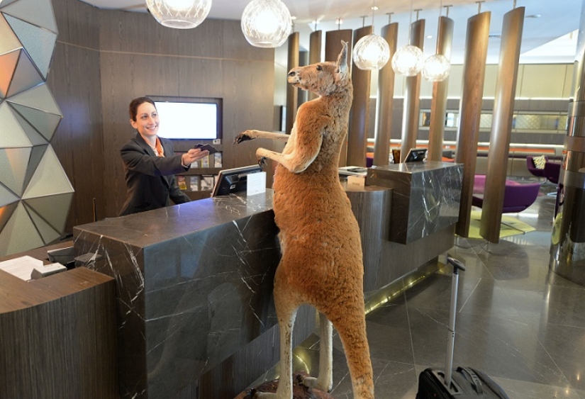 Espeluznante: hotel espantapájaros en Sydney
