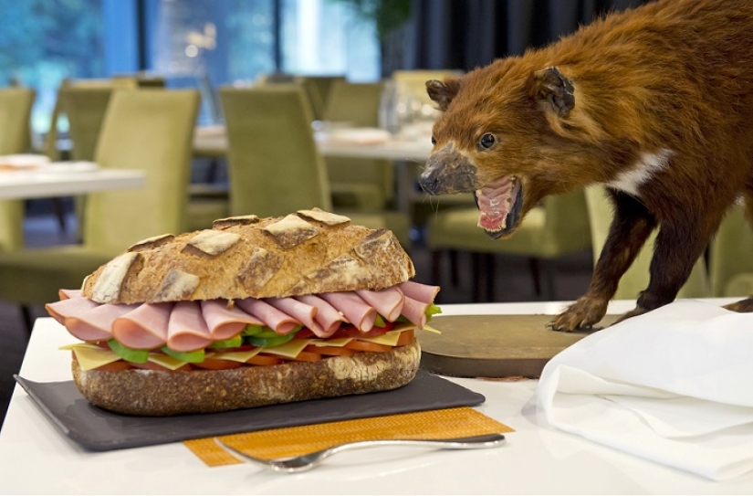 Espeluznante: hotel espantapájaros en Sydney