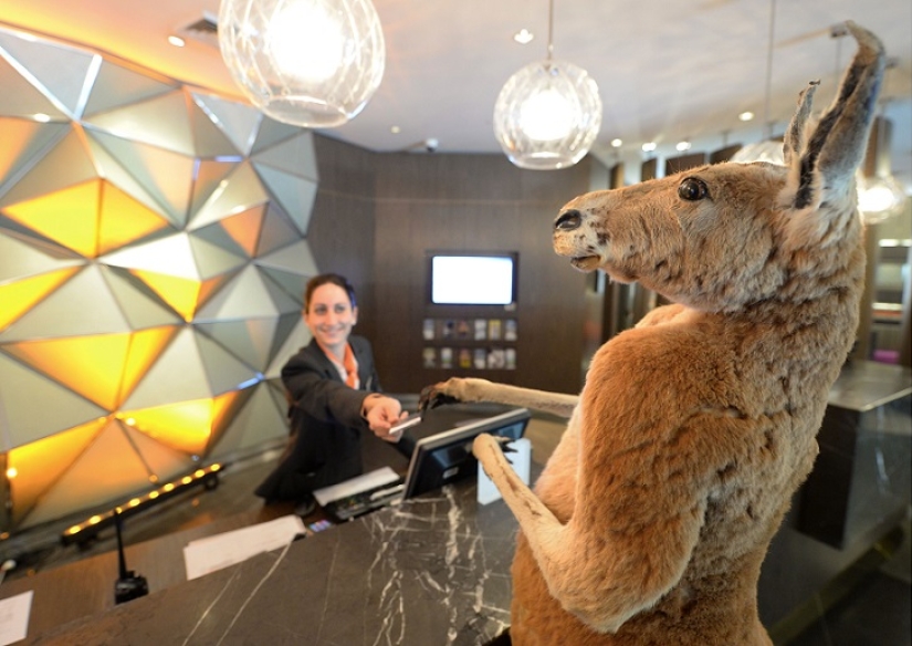 Espeluznante: hotel espantapájaros en Sydney