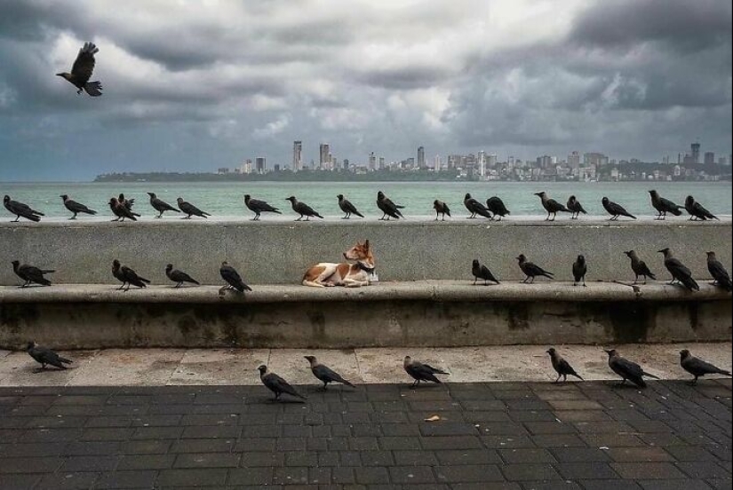 Esta cuenta de Instagram continúa compartiendo fotos callejeras muy divertidas; Aquí están sus 19 más nuevos Esta cuenta de Instagram continúa compartiendo fotos callejeras muy divertidas; Aquí están sus 19 más nuevos