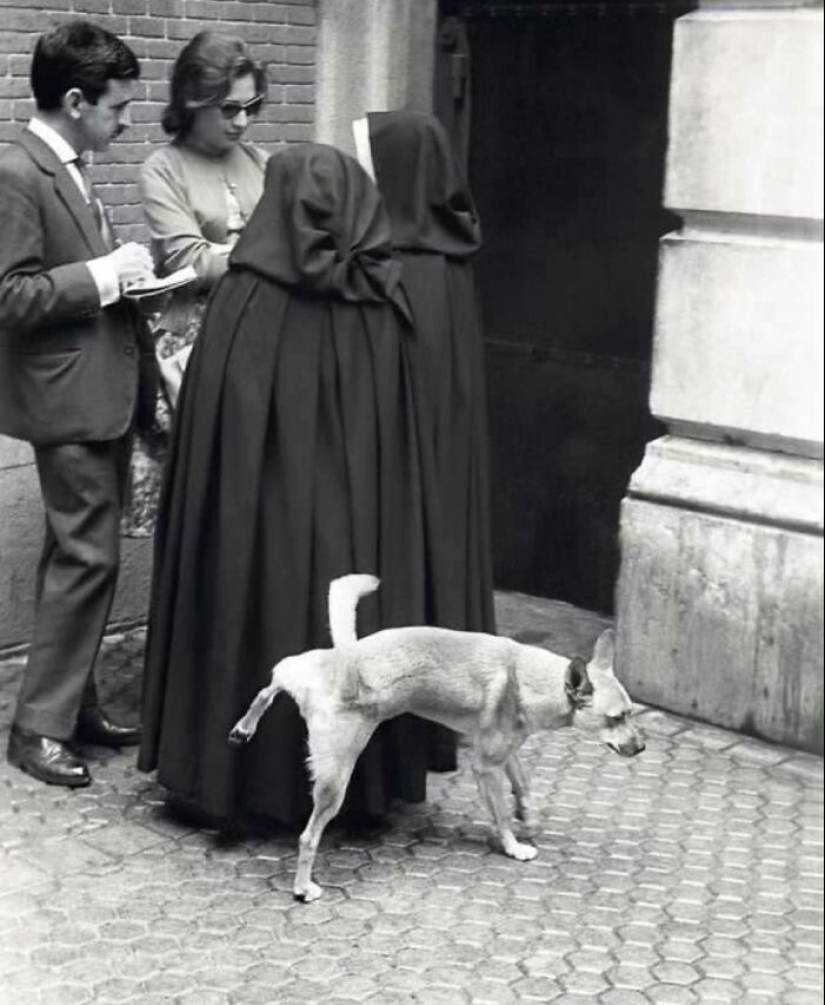 Esta cuenta de Instagram continúa compartiendo fotos callejeras muy divertidas; Aquí están sus 19 más nuevos Esta cuenta de Instagram continúa compartiendo fotos callejeras muy divertidas; Aquí están sus 19 más nuevos
