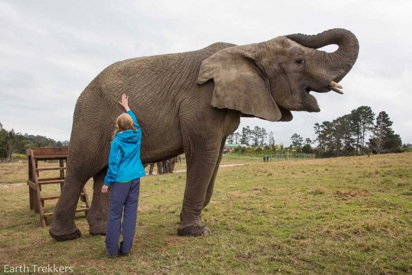 Esta familia vendió su casa y autos para viajar alrededor del mundo. Esta familia vendió su casa y autos para viajar alrededor del mundo.