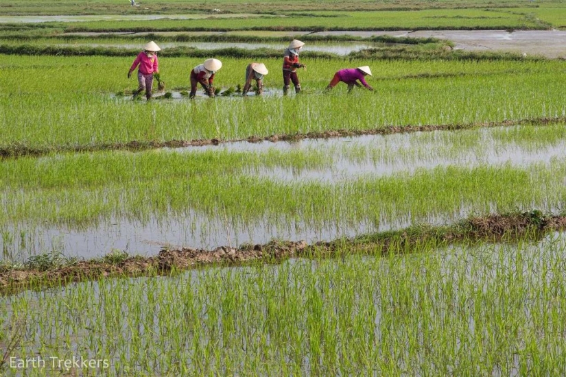 Esta familia vendió su casa y autos para viajar alrededor del mundo. Esta familia vendió su casa y autos para viajar alrededor del mundo.