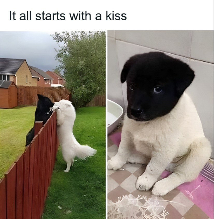 Esta página comparte las fotografías más aleatorias y entretenidas, y aquí tienes 10 de las mejores Esta página comparte las fotografías más aleatorias y entretenidas, y aquí tienes 10 de las mejores