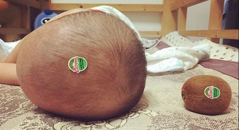 Esta página comparte las fotografías más aleatorias y entretenidas, y aquí tienes 10 de las mejores Esta página comparte las fotografías más aleatorias y entretenidas, y aquí tienes 10 de las mejores