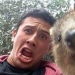 estado quokka estado quokka