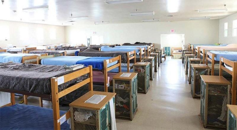 Estadounidenses pobres y sin hogar: ¿cómo viven? Estadounidenses pobres y sin hogar: ¿cómo viven?