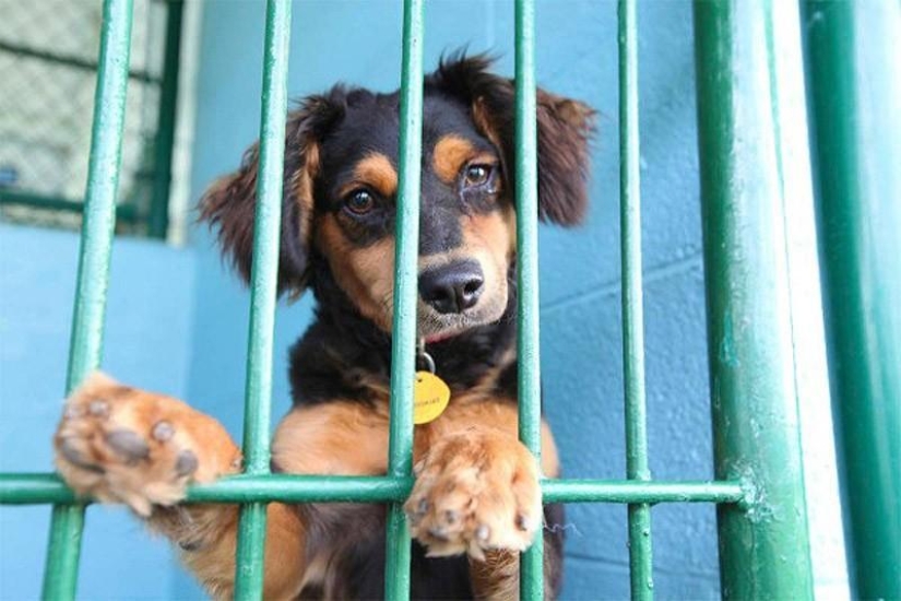 Estadounidenses pobres y sin hogar: ¿cómo viven? Estadounidenses pobres y sin hogar: ¿cómo viven?