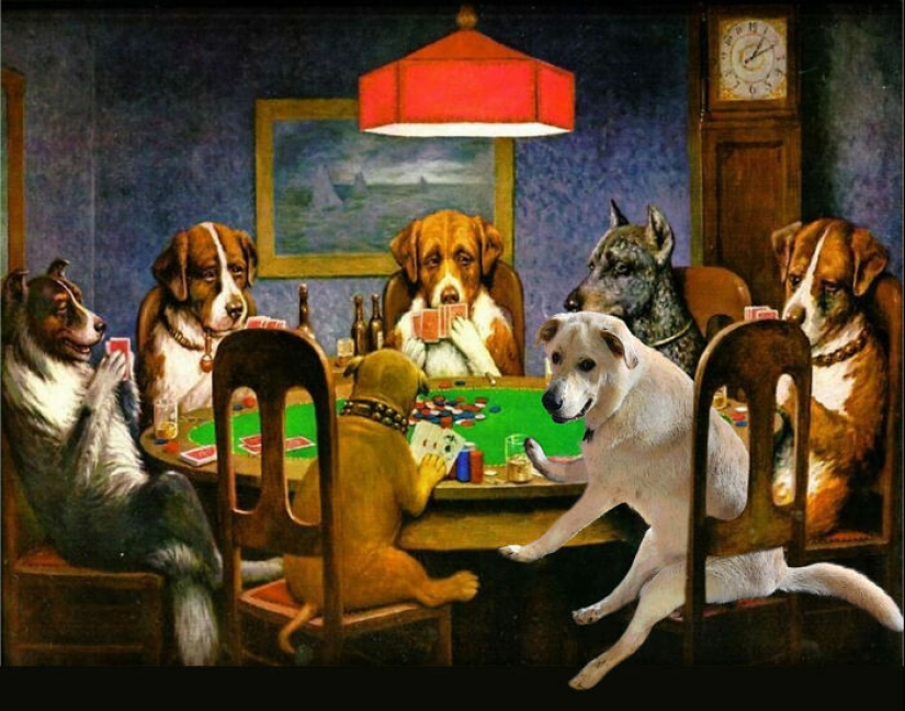 Estas son 10 fotografías que la gente hizo mientras se divirtieron retocando con Photoshop a este perro tonto Estas son 10 fotografías que la gente hizo mientras se divirtieron retocando con Photoshop a este perro tonto