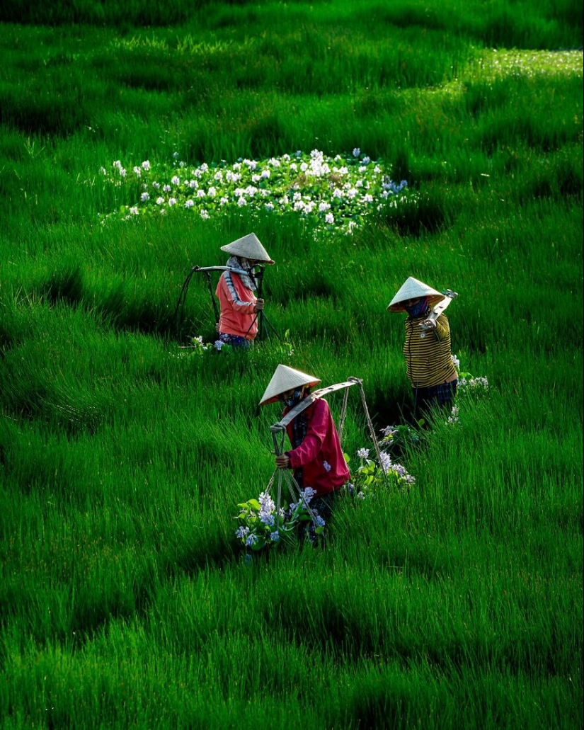Este fotógrafo toma impresionantes fotos de drones de Vietnam