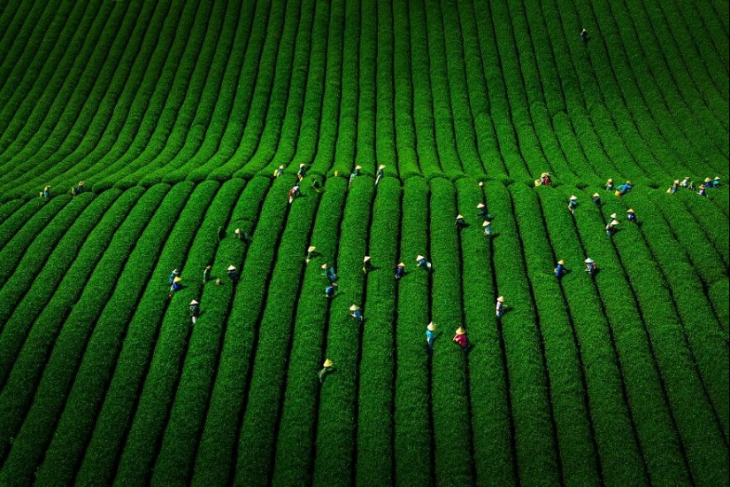 Este fotógrafo toma impresionantes fotos de drones de Vietnam