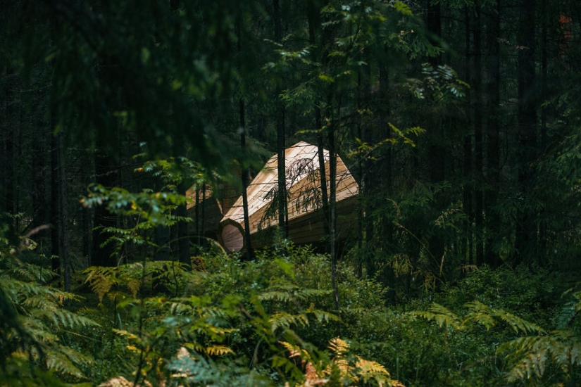 Estonian students built giant horns to listen to the forest