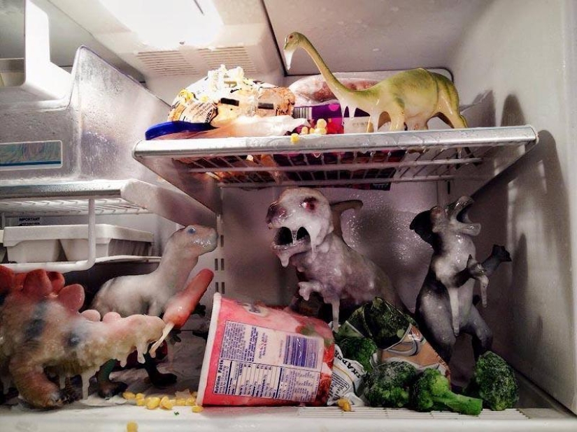 Every night dinosaurs have a row