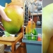 Everyday life of parrot owners in all their glory: 14 funny photos Everyday life of parrot owners in all their glory: 14 funny photos