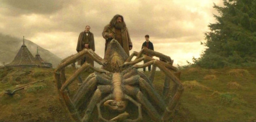 Everything you Wanted to know, but were afraid to ask about makeup in the Harry Potter films
