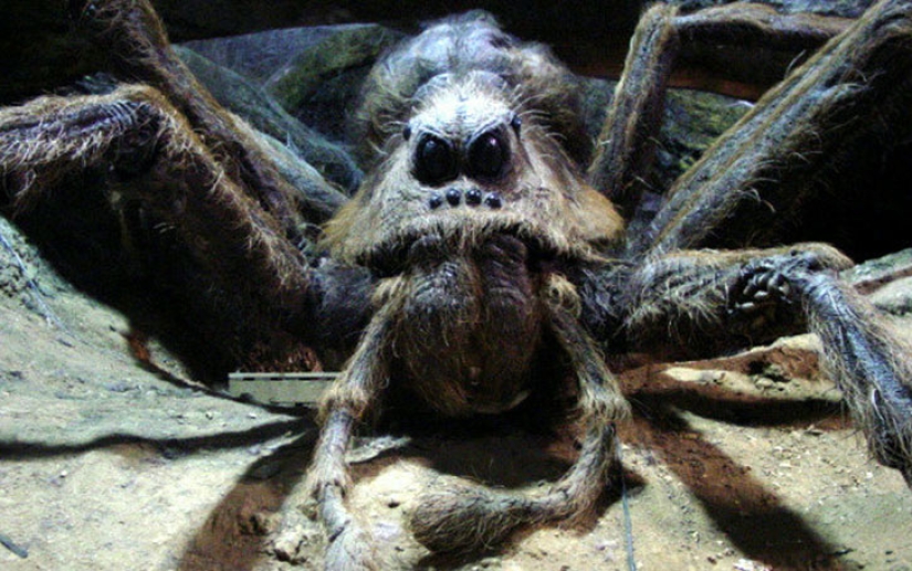 Everything you Wanted to know, but were afraid to ask about makeup in the Harry Potter films