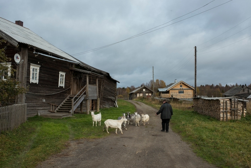 Expedition The Spine of Russia