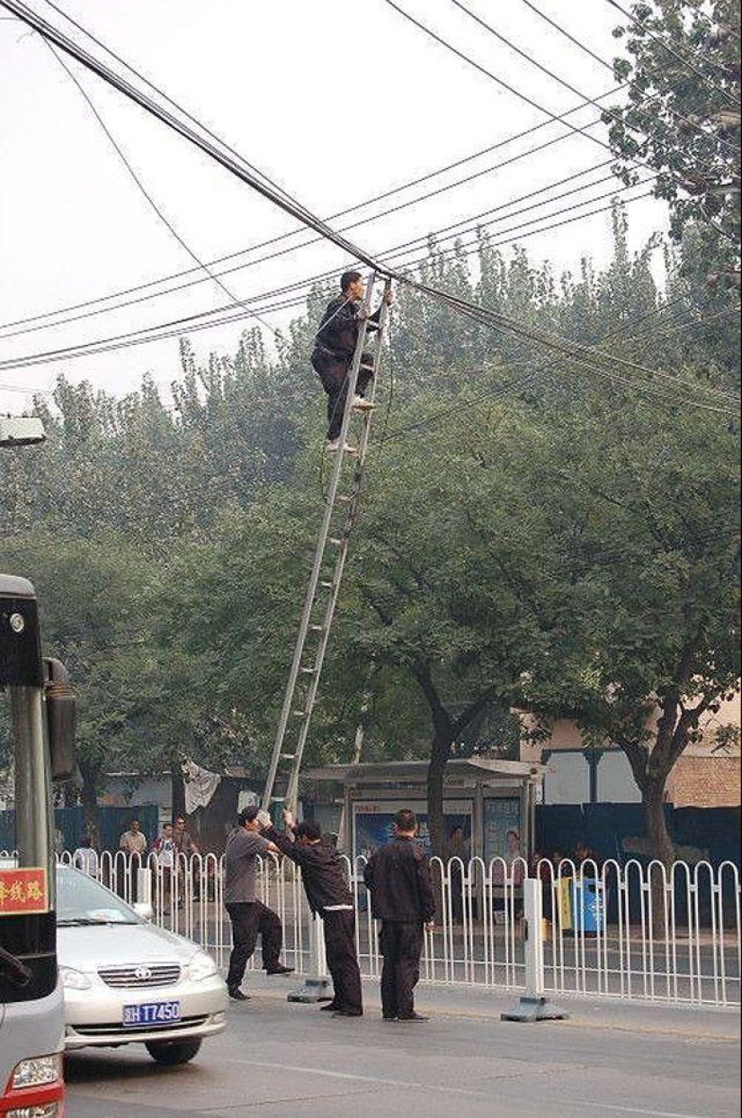 "Expertos" en el campo de la ingeniería de seguridad