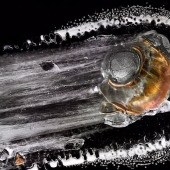 Exploding galaxies - how a bullet breaks organic glass