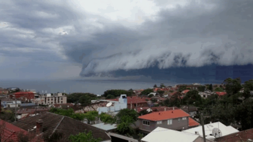 Extraña nube de tsunami sobre Sydney Extraña nube de tsunami sobre Sydney