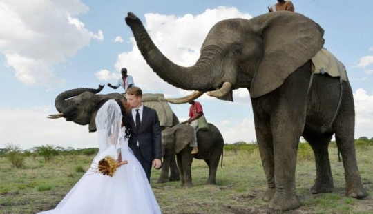 Extraordinary safari wedding in Zimbabwe