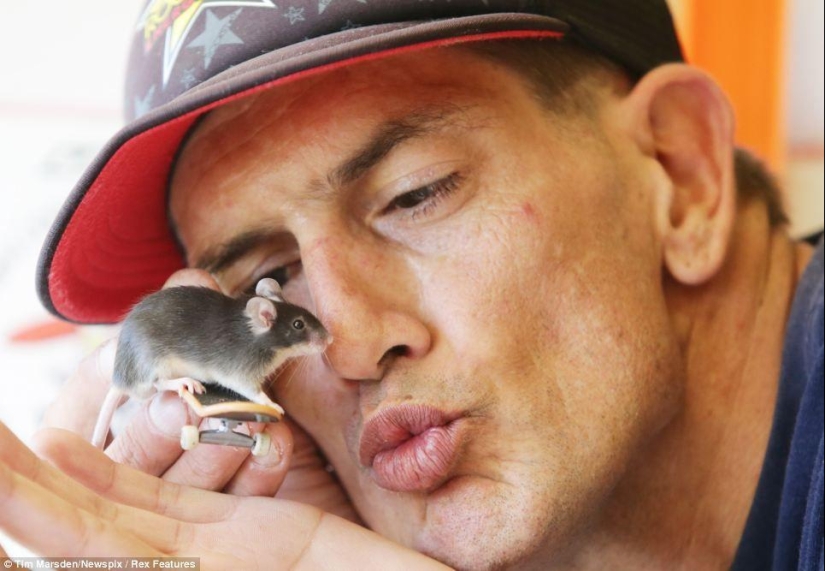 Extreme mice