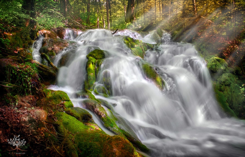 Fabulosas fotos de otoño de Rumania tomadas en cámara por solo $250
