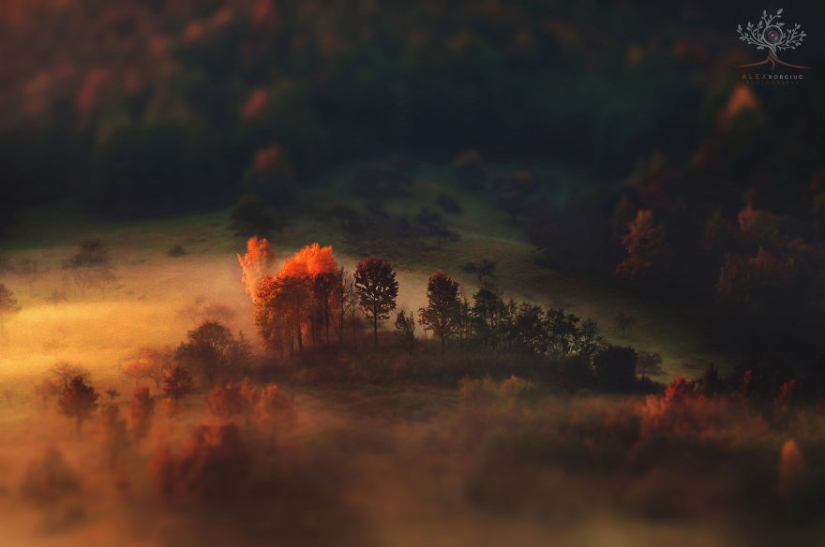 Fabulous autumn photos from Romania taken on camera for just $250