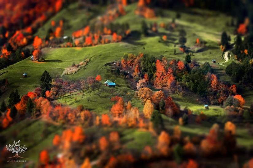 Fabulous autumn photos from Romania taken on camera for just $250