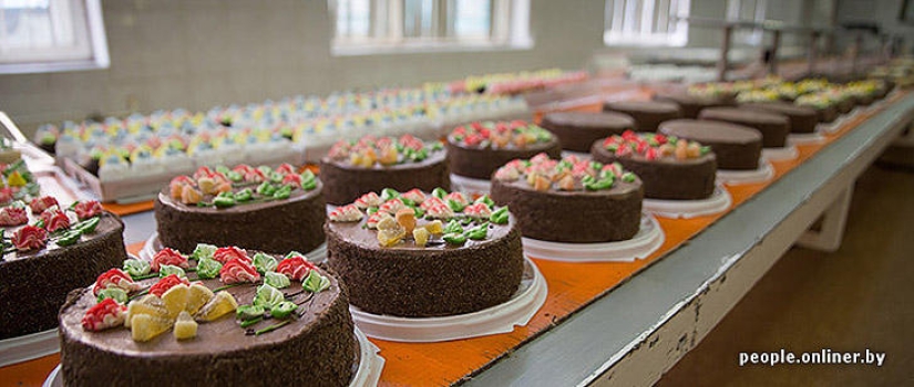 &quot;Fabulous&quot; photo report: how your favorite Soviet cakes are made