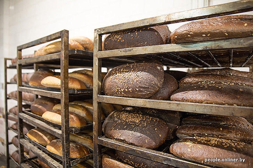 &quot;Fabulous&quot; photo report: how your favorite Soviet cakes are made