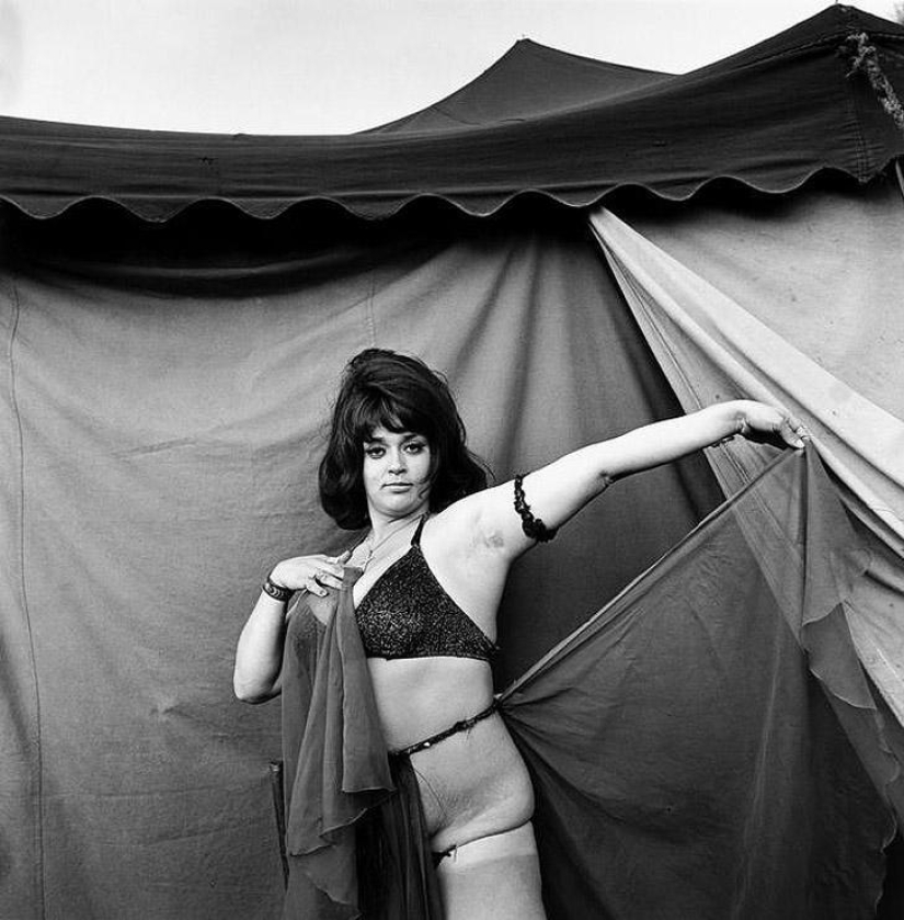 Fairground Strippers