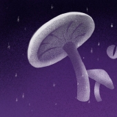 Fairy tale syndromes: 7 real "fictitious" diseases