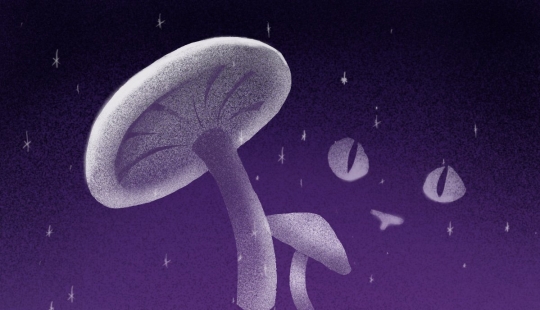 Fairy tale syndromes: 7 real "fictitious" diseases