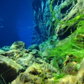 Falla islandesa Silfra - entre dos partes del mundo Falla islandesa Silfra - entre dos partes del mundo