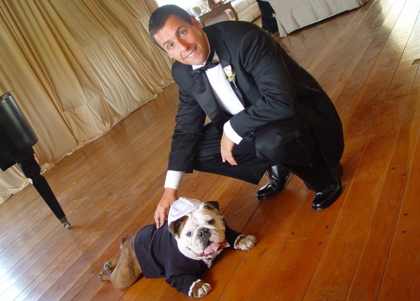 Famosos obsesionados con sus mascotas Famosos obsesionados con sus mascotas