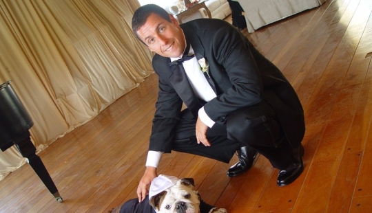 Famosos obsesionados con sus mascotas