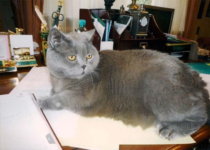 Famous politicians and their four-legged pets Famous politicians and their four-legged pets