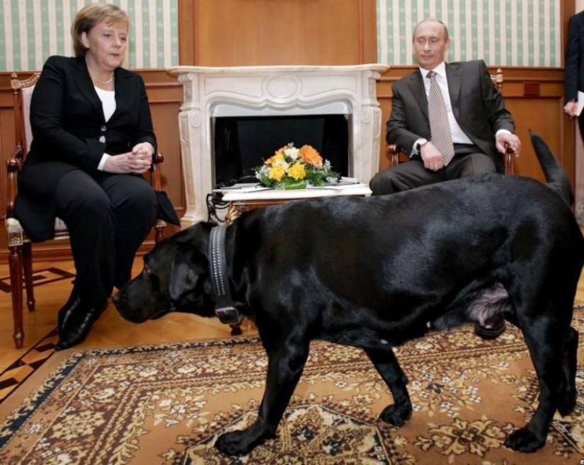Famous politicians and their four-legged pets Famous politicians and their four-legged pets