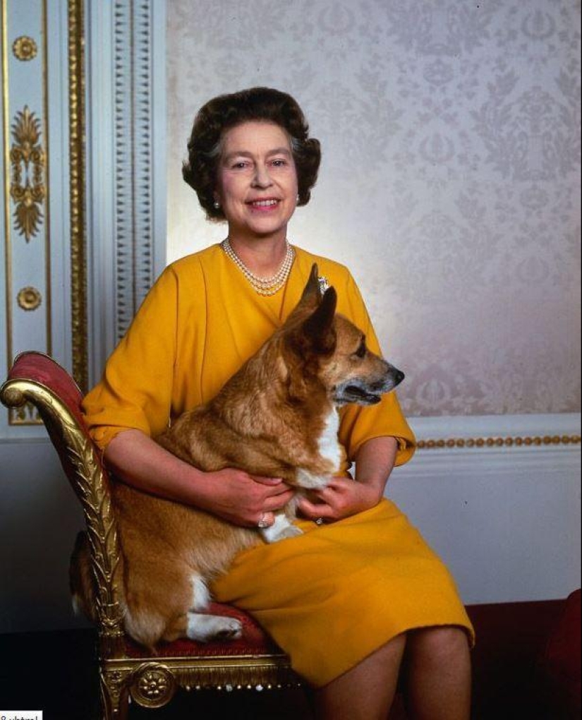 Famous politicians and their four-legged pets Famous politicians and their four-legged pets