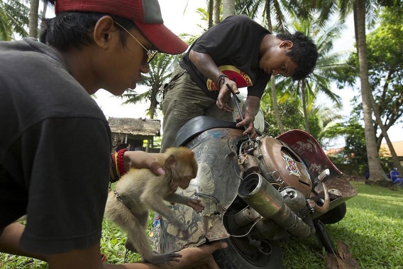 Fans de los legendarios ciclomotores Vespa en Indonesia