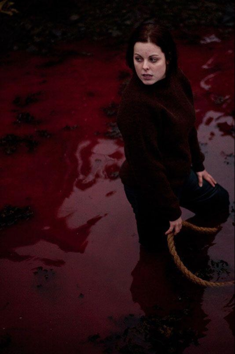 Faroe Islander tries to justify cruelty of whale killing