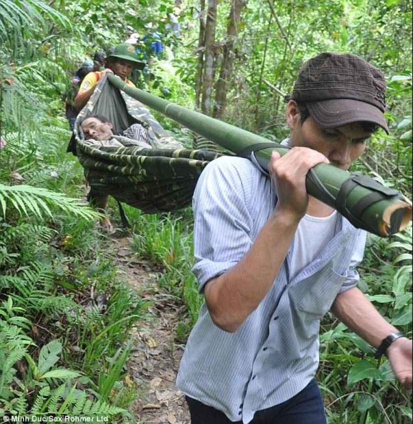 Father and son found in Vietnam hiding in the jungle for 40 years