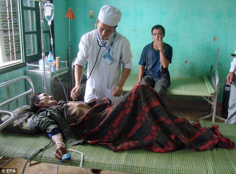 Father and son found in Vietnam hiding in the jungle for 40 years