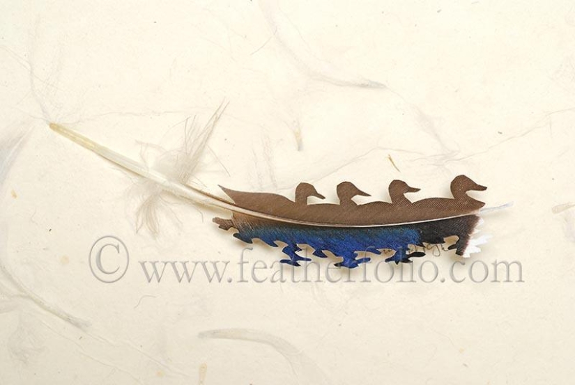 Feathers as art