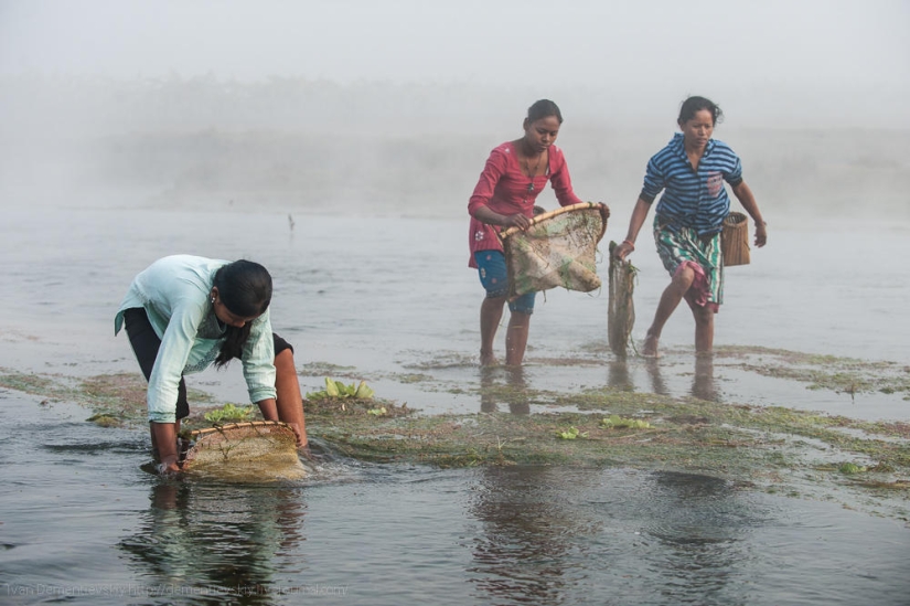 Features of national fishing