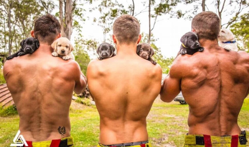 Fiery backstage: photos from the shooting of the charity calendar with naked firefighters