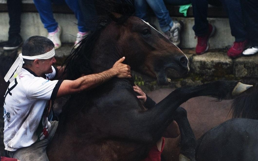 Fiesta Rapa das Bestas