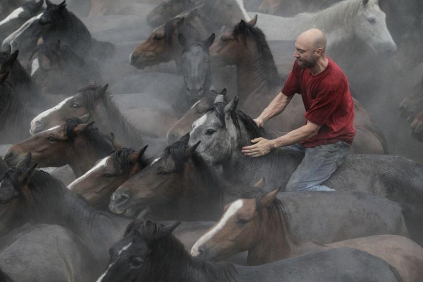 Fiesta Rapa das Bestas