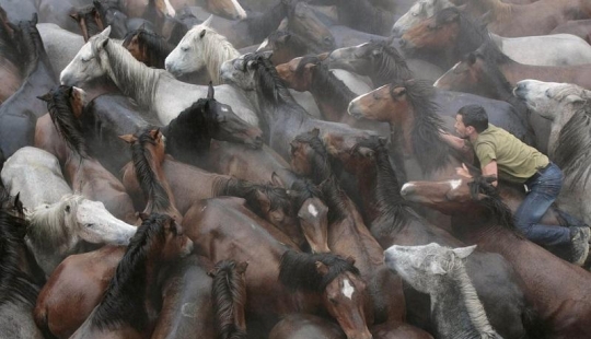 Fiesta Rapa das Bestas